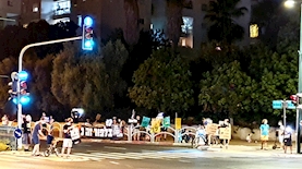 מפגינים בצומת אלוף שדה, צילום: שרון טל